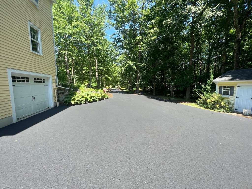 Residential driveway with trees and houses