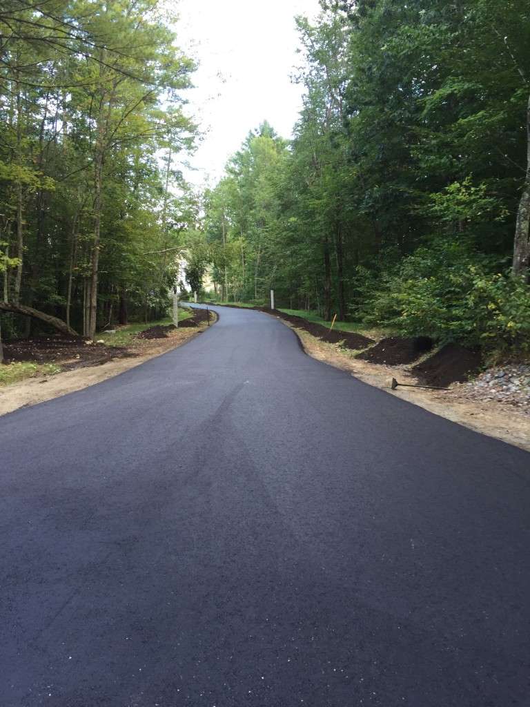New asphalt road through forest